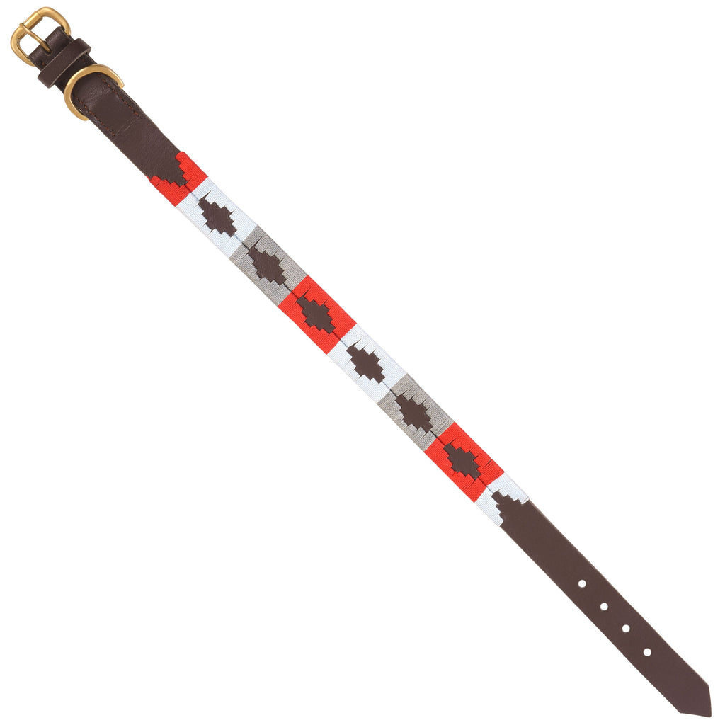 Handmade Genuine Leather Polo Style Dog Collar & Leash Set – Embroidered, Adjustable & Soft Padded by Rexons