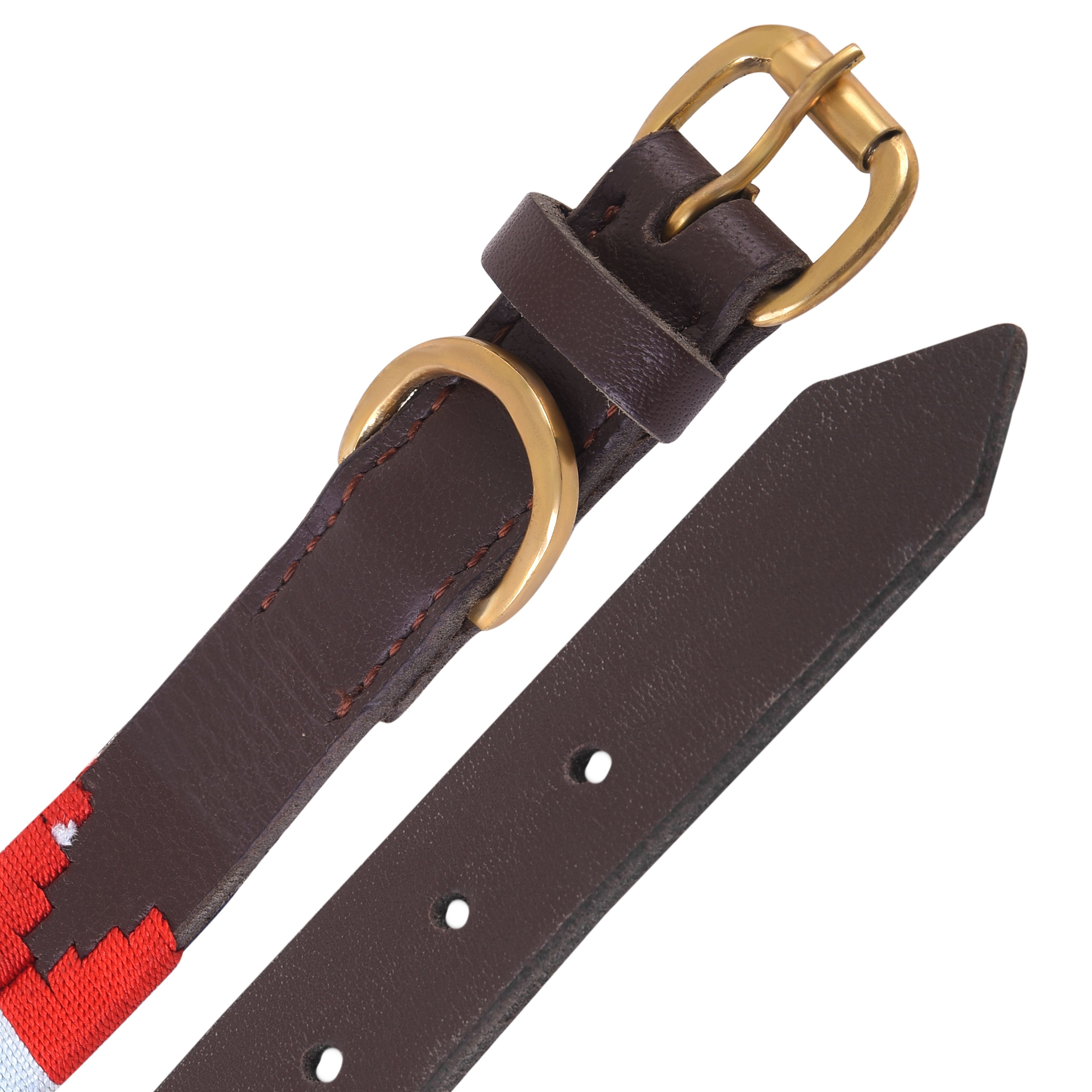 Handmade Genuine Leather Polo Style Dog Collar & Leash Set – Embroidered, Adjustable & Soft Padded by Rexons