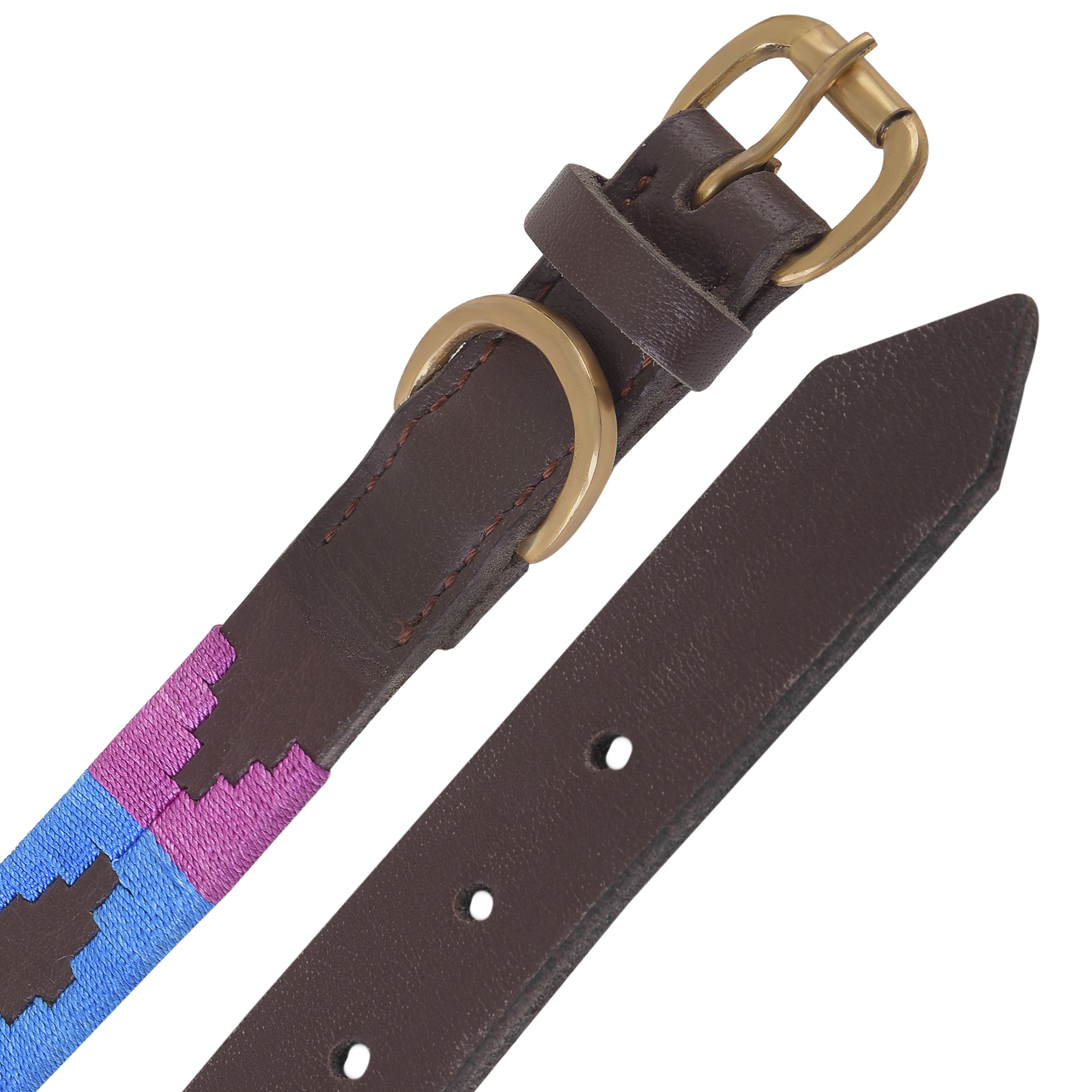 Leather Polo Style Embroidered Dog Collar & Leash Set – Adjustable with Metal Buckle & Soft Padded Grip by Rexons