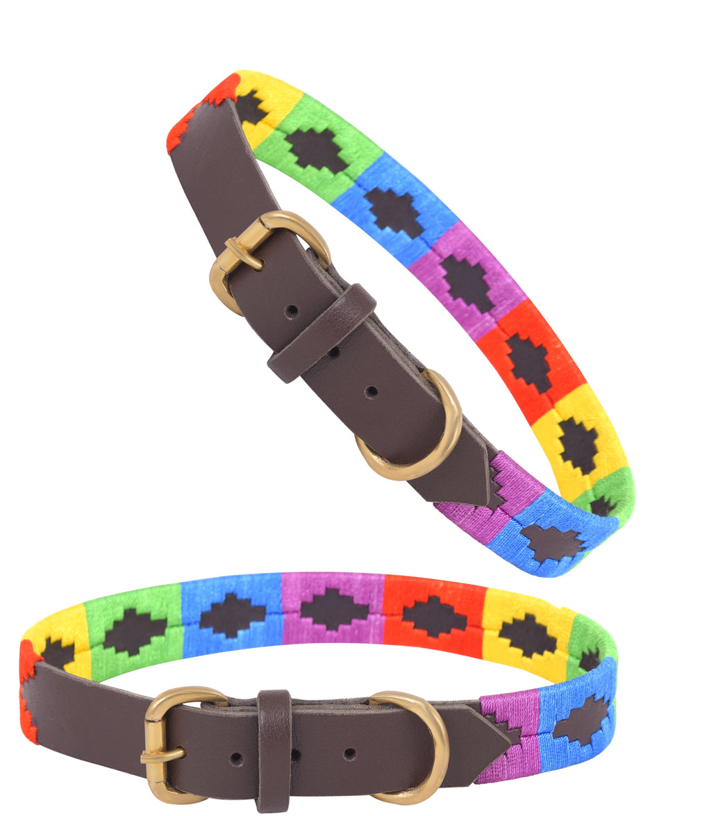 Leather Polo Style Embroidered Dog Collar & Leash Set – Adjustable with Metal Buckle & Soft Padded Grip by Rexons